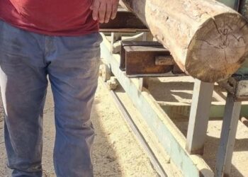 Kayseri’de feci ölüm: İşçi, tomruğun altında kaldı!