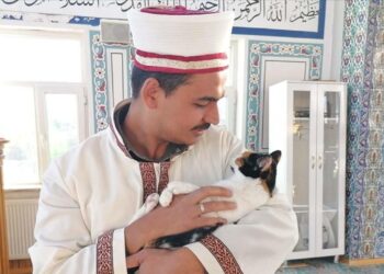 Kedileri leğende yıkayan imam hayvan sevgisiyle örnek oluyor
