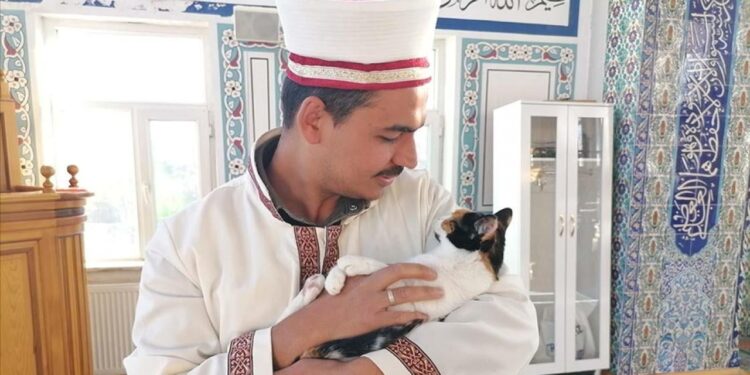 Kedileri leğende yıkayan imam hayvan sevgisiyle örnek oluyor