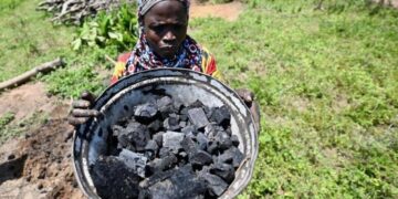 Kömür kullanımında zirve! Tarihin en yüksek seviyesine çıktı!