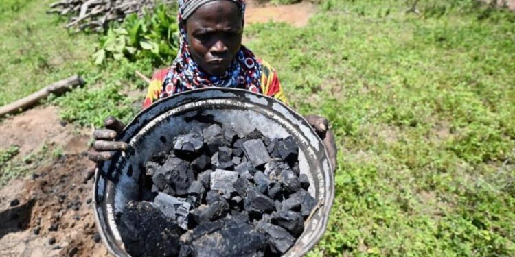 Kömür kullanımında zirve! Tarihin en yüksek seviyesine çıktı!