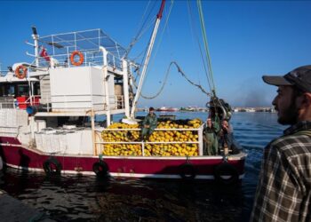 Maaşlar 100 bin TL’ye çıktı! Balıkçılar eleman bulamıyor
