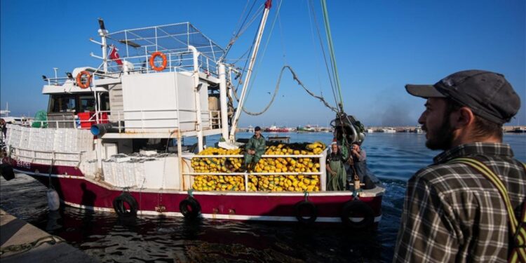 Maaşlar 100 bin TL’ye çıktı! Balıkçılar eleman bulamıyor