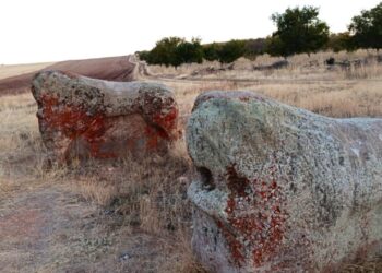 Malatya’daki 4 bin yıllık 2 Aslantaş taşınacak