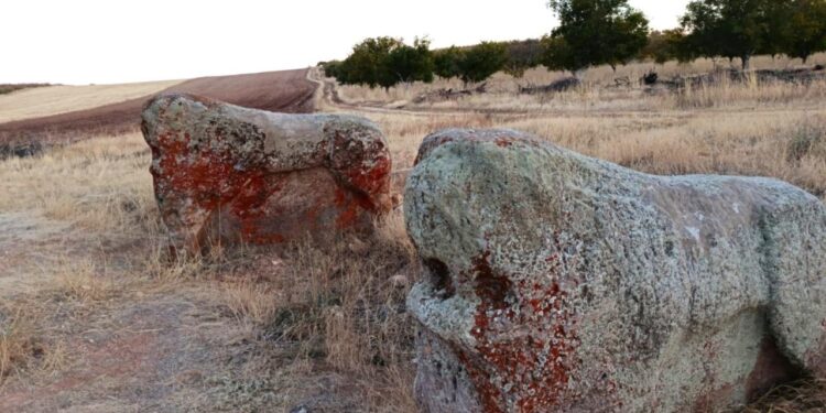 Malatya’daki 4 bin yıllık 2 Aslantaş taşınacak