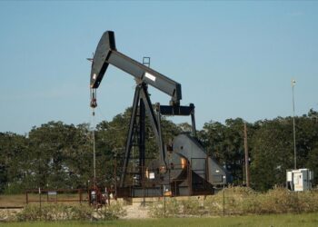 OPEC’in ham petrol üretimi eylülde günlük 524 bin varil arttı