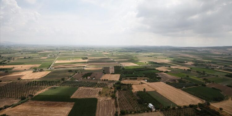Resmi Gazete’de yayımlandı: Arazi tapulaştırması yapılacak!
