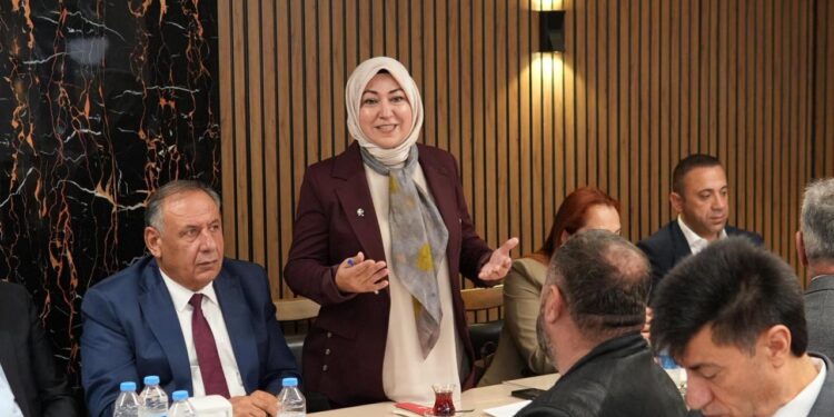 Rukiye Toy İstanbul’da STK temsilcileriyle bir araya geldi