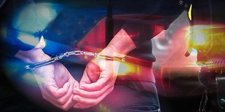 Sahte diploma ve ehliyet soruşturmasında son dakika gelişmesi