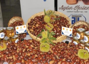 Sezonun ilk kestanesi! 550 TL’den alıcı buldu