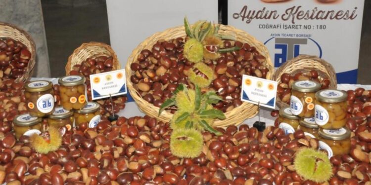 Sezonun ilk kestanesi! 550 TL’den alıcı buldu