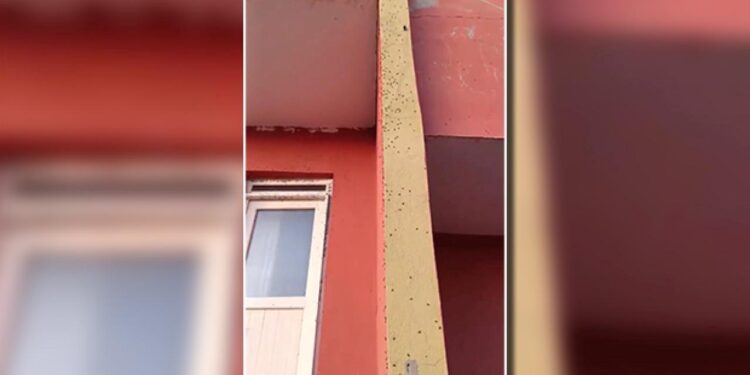 Sinek istilası! Evlerin duvarlarını kapladı