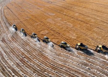 Tarımsal destek ödemeleri bugün çiftçilerin hesaplarına yatıyor