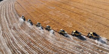 Tarımsal destek ödemeleri bugün çiftçilerin hesaplarına yatıyor