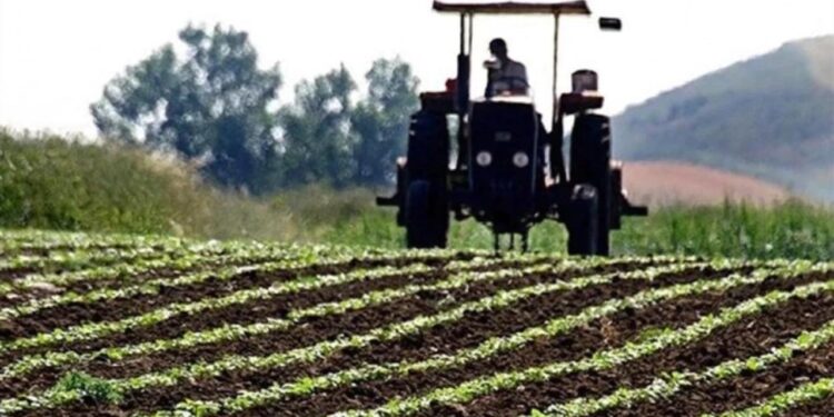 Tarımsal girdi fiyatlarında 9 ayın en düşük artışı