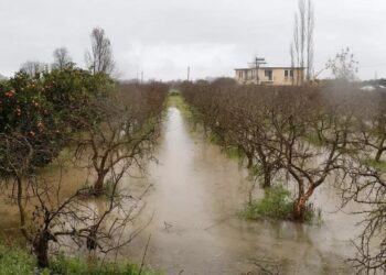 TARSİM’den çiftçilere 2,5 milyar liralık kuraklık tazminatı