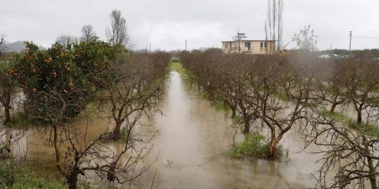 TARSİM’den çiftçilere 2,5 milyar liralık kuraklık tazminatı