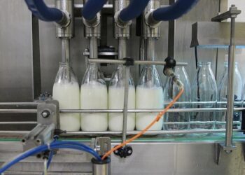 Toplanan inek sütü miktarı ağustosta 933 bin 234 ton oldu