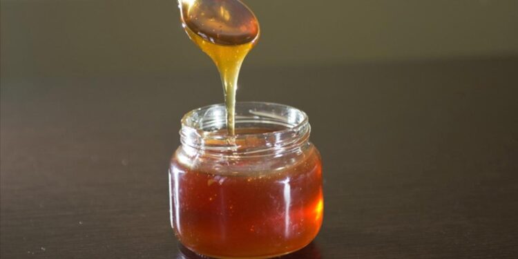 Türk balında yılın 9 ayında 23,4 milyon dolarlık ihracat gerçekleştirildi