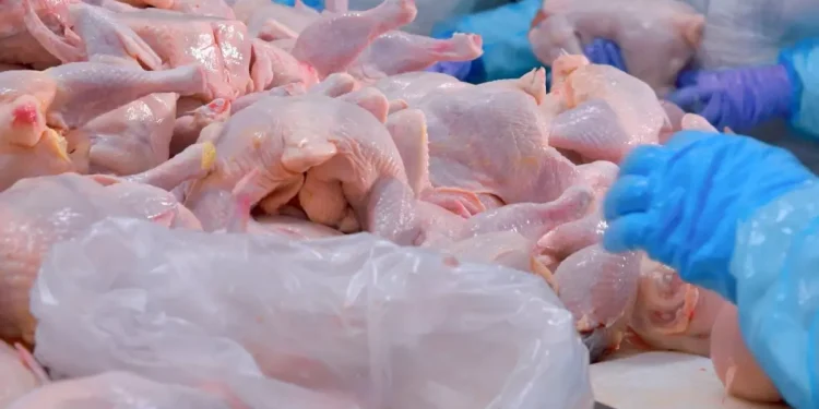 Türkiye’nin dev tavuk markası konkordato ilan etti