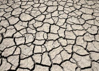 Türkiye’de son üç ayda kuraklık 10 yıllık ortalamanın yüzde 10 üzerine çıktı