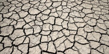 Türkiye’de son üç ayda kuraklık 10 yıllık ortalamanın yüzde 10 üzerine çıktı