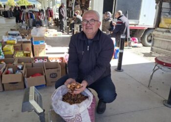 Üreticiler mutlu! Elma kurusu 65 TL’den satılıyor