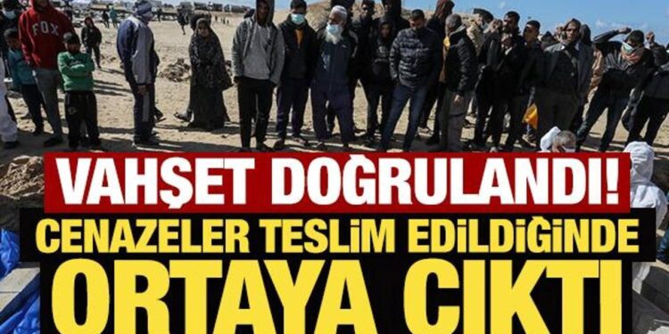 Vahşet doğrulandı! Organlarını çalıp öldürmüşler