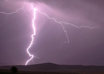 Yıldırım faciası: 3 inek telef oldu!