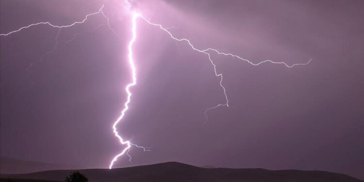 Yıldırım faciası: 3 inek telef oldu!