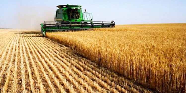 Yüzde 5,8 arttı! TÜİK rakamları açıkladı