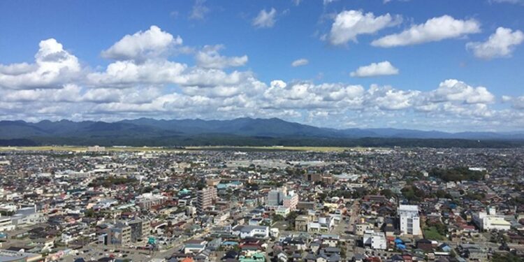 Ayılar şehre indi! Çok sayıda ölü var! Vali orduyu çağırdı, halk tedirgin