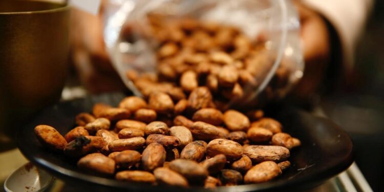 Bir fincan kakaonun şaşırtıcı faydası!