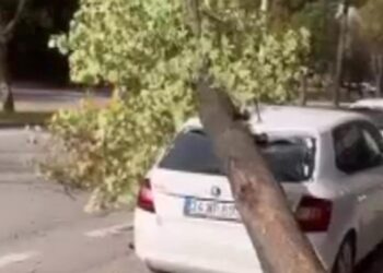 Bursa’da lodos: Otomobilin üzerine ağaç devrildi, o anlar kameraya yansıdı