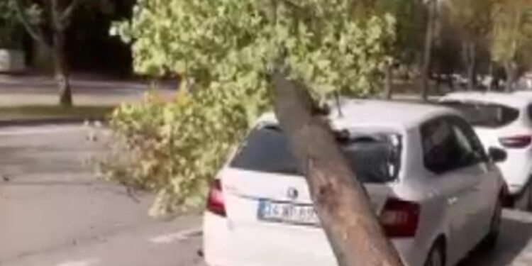 Bursa’da lodos: Otomobilin üzerine ağaç devrildi, o anlar kameraya yansıdı