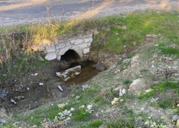 Çanakkale’de göbek bağı kurumamış bebek cesedi bulundu