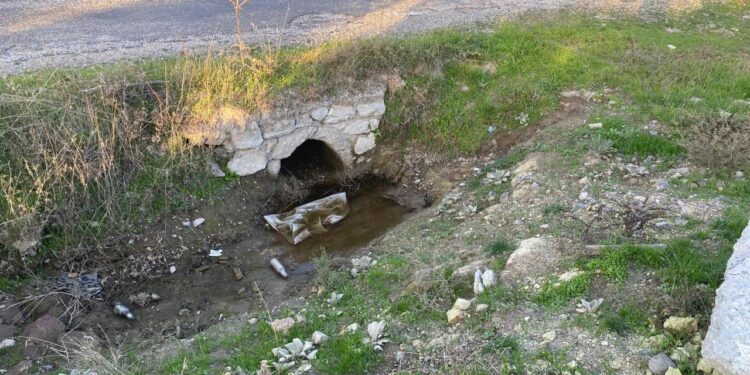 Çanakkale’de göbek bağı kurumamış bebek cesedi bulundu