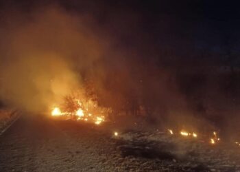Çemişgezek’te otluk alanda yangın