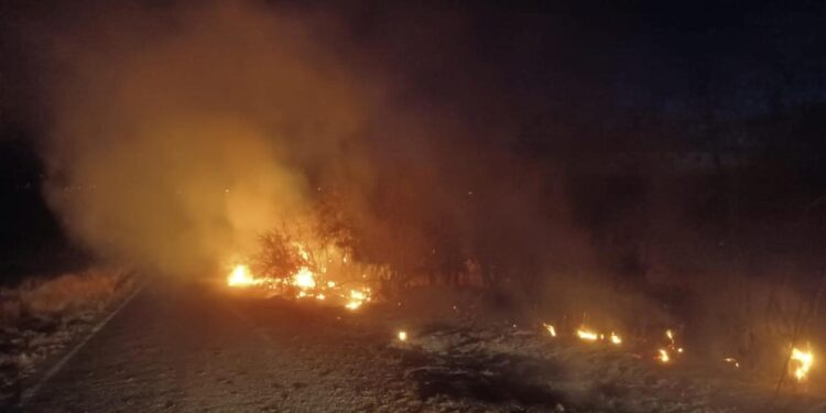 Çemişgezek’te otluk alanda yangın