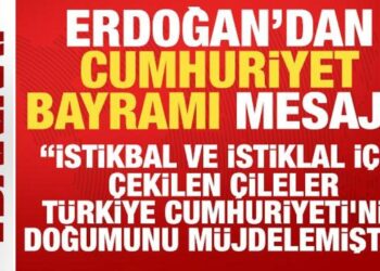 Cumhurbaşkanı Erdoğan: İstiklal için çekilen çileler Türkiye’nin doğumunu müjdelemiştir