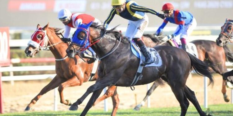 Cumhuriyet ve Cumhurbaşkanlığı koşuları nefesleri kesti!