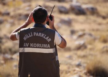 DKMP Genel Müdürlüğü 13 personel istihdam edecek