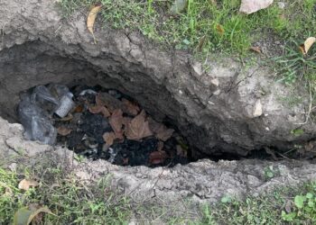 Elma bahçesinde endişelendiren olay! Evlerin duvarları çatladı