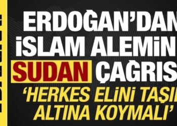 Erdoğan’dan İslam alemine çağrı: Herkes elini taşın altına koymalı! Katliam kabul edilemez
