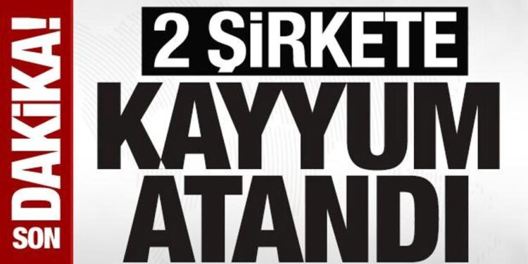 Hat Holding ve İnvestco Holding’e TMSF kayyum olarak atandı