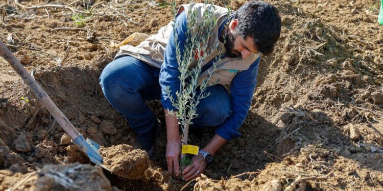 İHH’dan 3 ildeki çiftçilere 25 bin fidan desteği