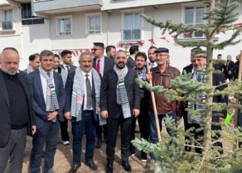 İsrail’in saldırılarında şehit olan Filistinli 273 gazeteci anısına fidan dikildi