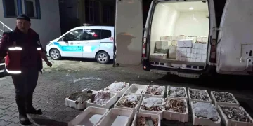 Yasa Dışı Avlanan 1,5 Ton Balık Kastamonu’da Ele Geçti