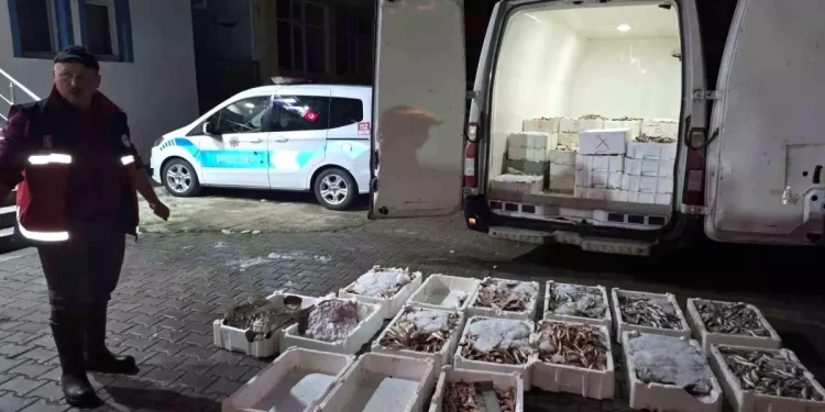 Yasa Dışı Avlanan 1,5 Ton Balık Kastamonu’da Ele Geçti