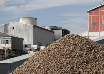 Kayseri Şeker bu sezon 475 bin ton şeker üretimi hedefliyor